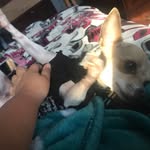 Stephen Blunt - @stephen.blunt.35 - Instagram