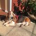 Stephen Blunt - Facebook