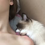 Stephen Blunt - @stephen_blunt - Instagram
