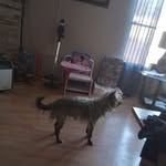 Steven Bobbitt - @stevenbobbitt0 - Instagram