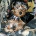 Steven Boettcher - Facebook