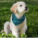 Stephen Boggs - @stephen_boggs7 - Instagram
