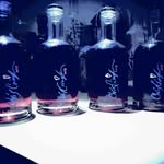 Stephen Bonin - @sbonin77 - Instagram