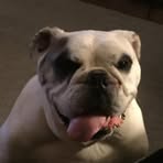 Stephen Booras - Facebook