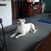 Stephen Borden - Facebook