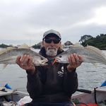 Stephen Borg - @borgy_70 - Instagram