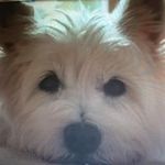 Stephen Borg - @borg1534 - Instagram