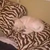 Stephen Bosworth - @stephen.bosworth - TikTok