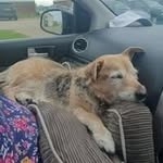 Stephen Bosworth - @bosworthstephen3 - Instagram