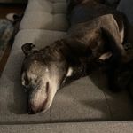 Stephen Bouffard - @captain56565 - Instagram