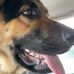 Steven Bouffard - Facebook