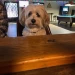 @stephenbourassa52 - Instagram