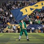 Stephen Bowes - @ufcwsb - Instagram