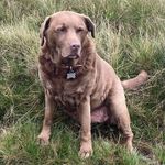 Stephen Bowker - @dabonker6969 - Instagram