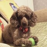 Stephen Bowker - @bowker.stephen - Instagram