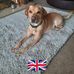 Steven Bowker - Facebook