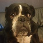 Stephen  Boyes - @the_kegler_super - Instagram