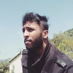Carlton Stephen Brass - @fearoftheducks - Instagram