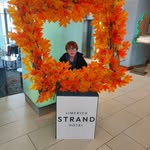 Stephen Bray - @bray3542 - Instagram