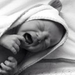 Stephen Breese - @stevebreese36 - Instagram