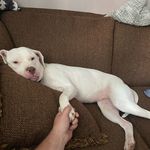 Stephen Brewer - @stephenbrewer49 - Instagram