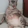 Stephen_Brewer - @stephen_brewer - TikTok