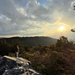 Stephen Brewer - @brewer_stephen - Instagram
