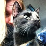 Stephen Bronson - @nozymindslayr - Instagram