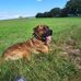 Stefan Bernstein - Facebook
