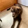 Stephen_b - @stephenbrophy - TikTok