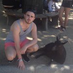 Stephen Brophy - @stephenbroph - Instagram