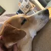 Stephen Brophy - @stephen.brophy - TikTok