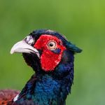 Stephen Bryce - @stephenbryce42 - Instagram