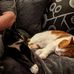 Stephen Bryce - Facebook