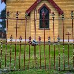 Stephen Buckman - @adventurephotosmelb - Instagram