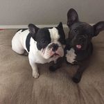 Steve Buckman - @stephen.buckman33 - Instagram