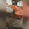 Steven Buehler - @stevenbuehler - TikTok