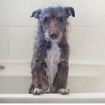 Stephen Bunker - @sbunkie - Instagram