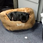 Stephen Burchell - @burchellenergy - Instagram