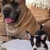 Steve Burchell - Facebook