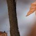 Stephen Burkholder - Facebook