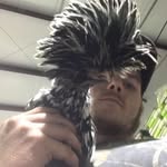 Stephen Burleson - @shakin.steveb - Instagram