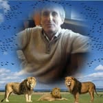 Stephen buxton - @buxton5534 - Instagram
