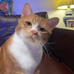 Stephen Cabillon - @stephencabillon - Instagram
