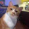 Stephen Cabillon - @stephen.cabillon - TikTok