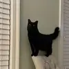 stephencali675 - @stephencali675 - TikTok
