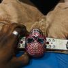 call_mhi_stephen - @call_mhi_stephen - TikTok