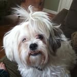 Stephen Carrera - @stephen.carrera.491 - Instagram