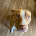 Stephen Carrig - @stephen.carrig.39 - Instagram