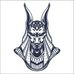 Stephen Carrigan - Facebook